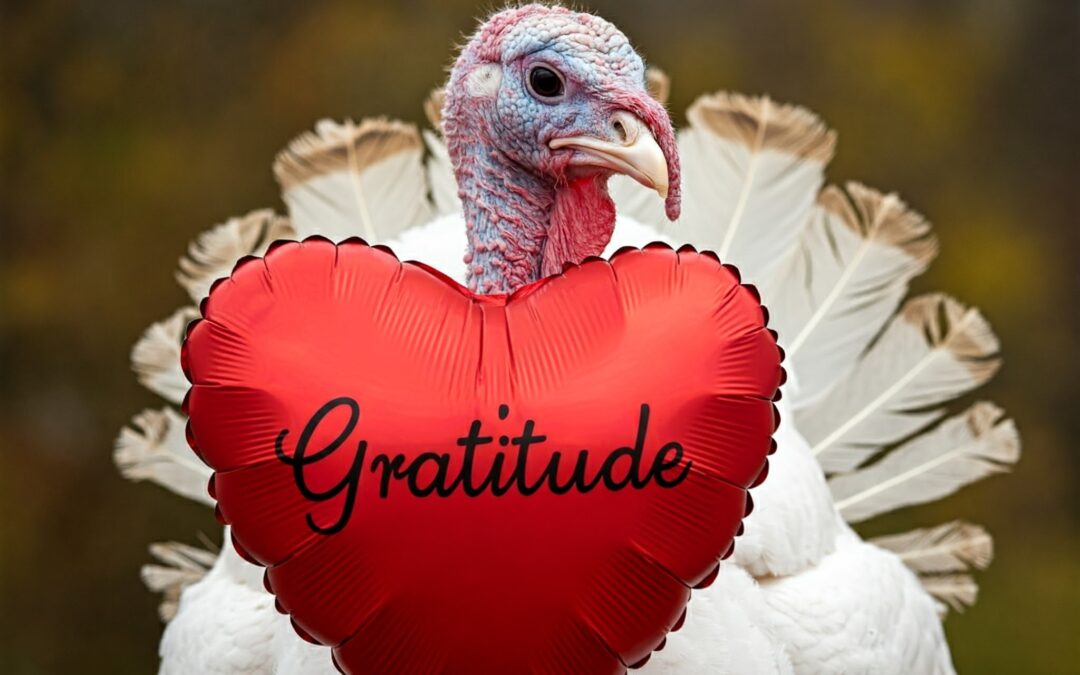 Happy Sunday From The Church Of Gratitude!